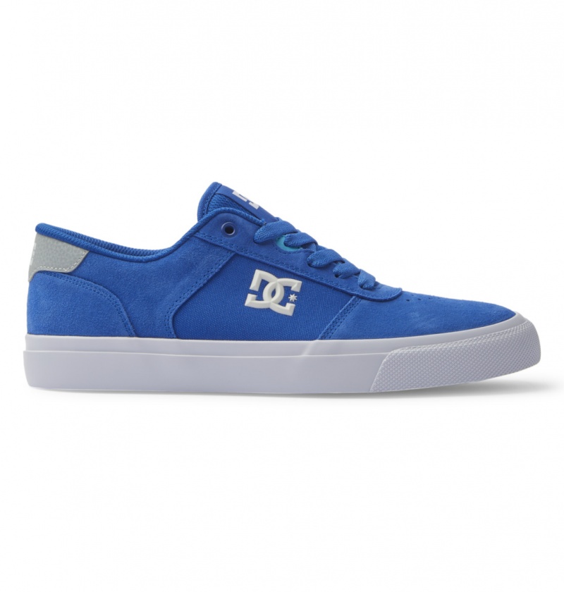 Basket DC Teknic Shoes Bleu Bleu Blanche Homme | NHA-0980606