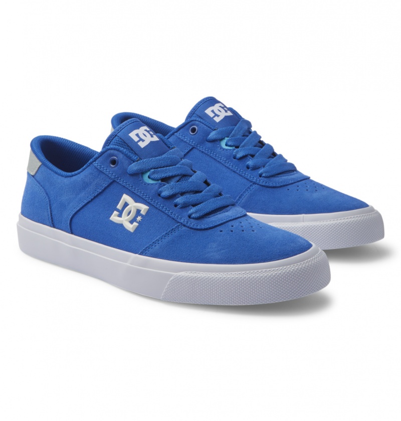 Basket DC Teknic Shoes Bleu Bleu Blanche Homme | NHA-0980606