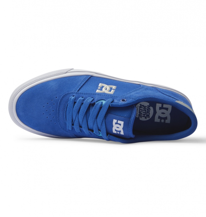 Basket DC Teknic Shoes Bleu Bleu Blanche Homme | NHA-0980606