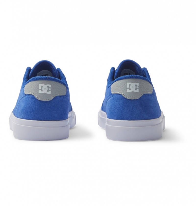 Basket DC Teknic Shoes Bleu Bleu Blanche Homme | NHA-0980606