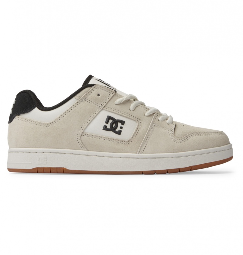 Chaussure Skate DC Manteca 4 Blanche Homme | SFJ-8097811