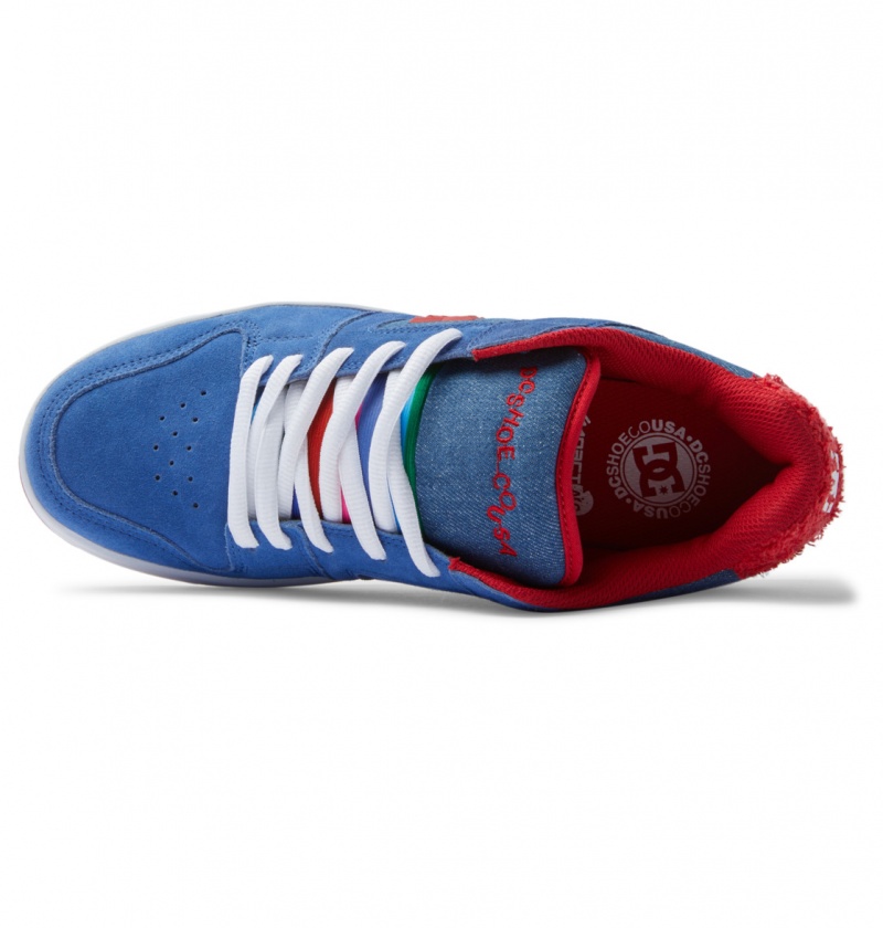 Chaussure Skate DC Manteca 4 Bleu Rouge Homme | XXG-3911471