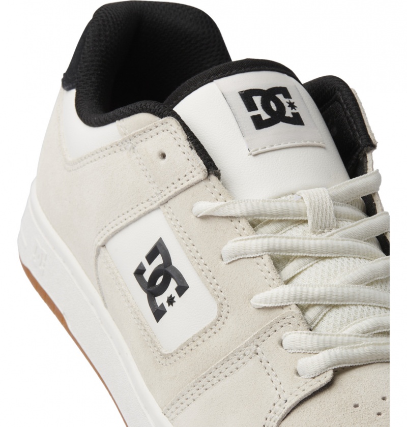 Chaussure Skate DC Manteca 4 Blanche Homme | SFJ-8097811