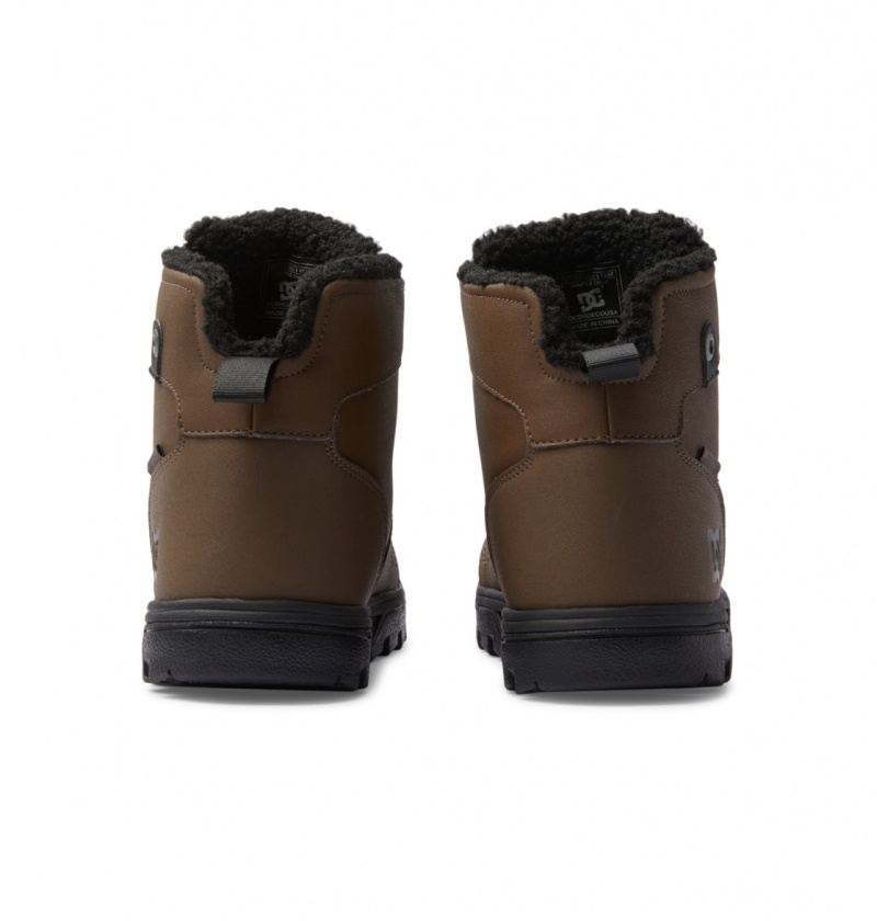 Botte Hiver DC Woodland Chocolat Foncé Homme | JYB-9898080