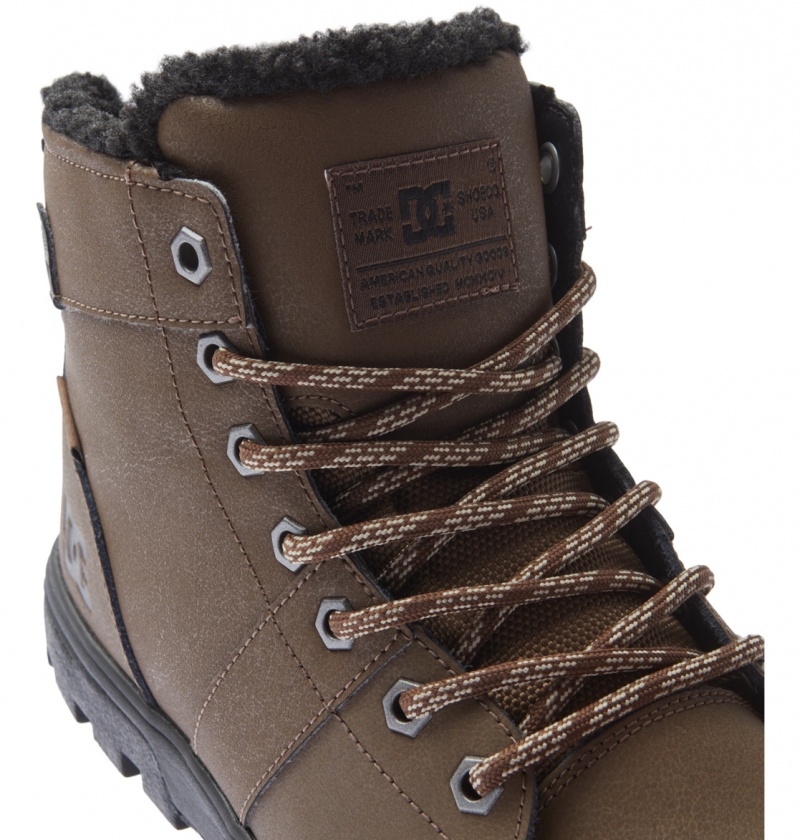 Botte Hiver DC Woodland Chocolat Foncé Homme | JYB-9898080