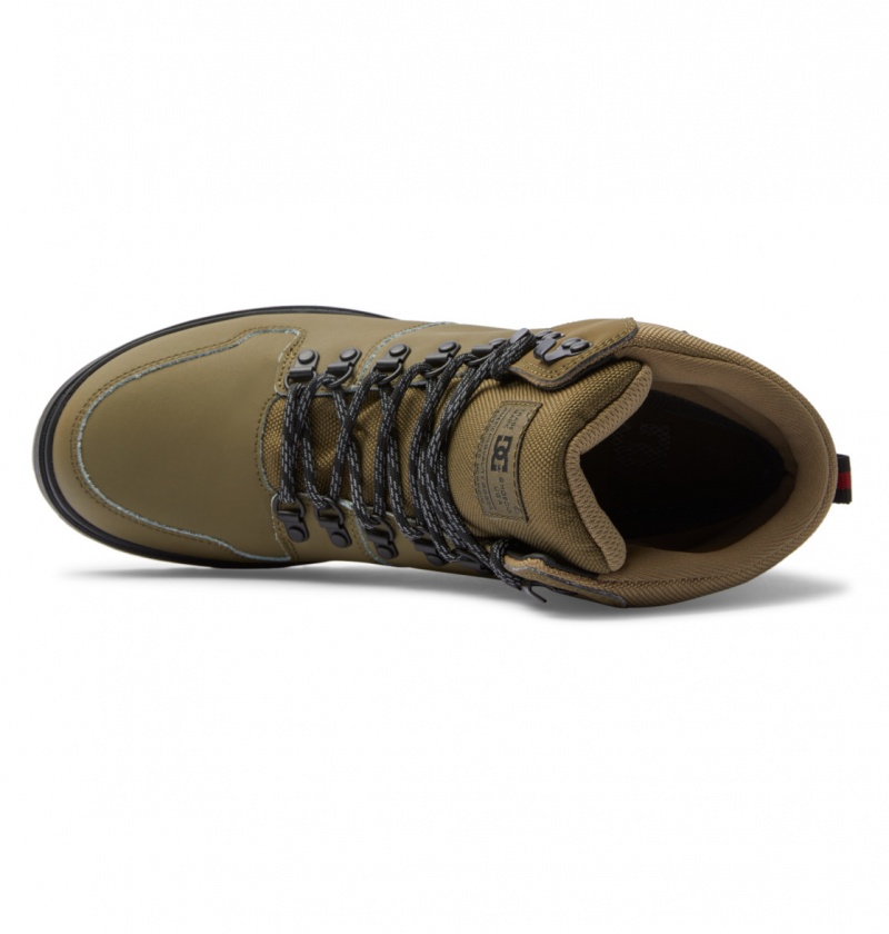 Botte DC Peary Tr Vert Olive Noir Homme | BCV-3130952