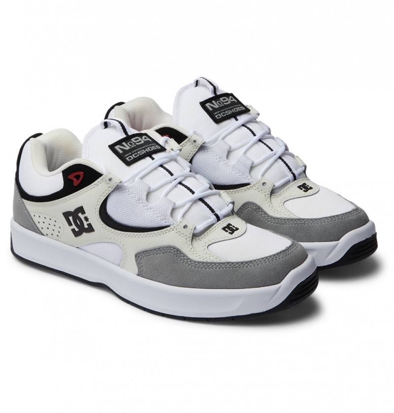 Basket DC Kalynx Zero Shoes Grise Noir Blanche Homme | RQS-5736960